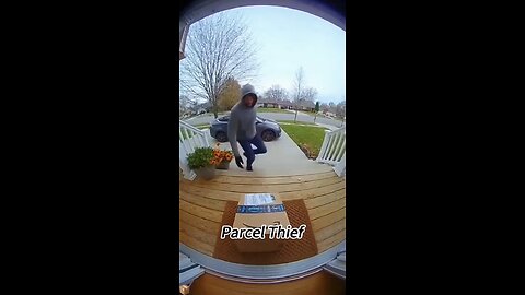 Yikes! 💥💥💥💥💥💥💥👊🏼