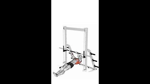 Inverted Row Exercise.