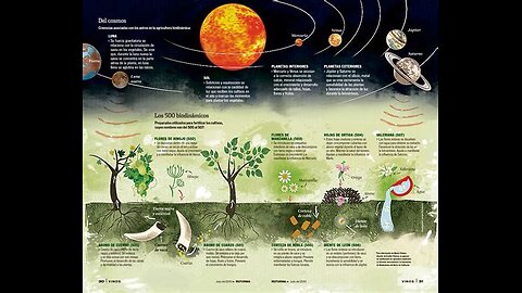 Heaven And Earth- Wholistic Living- With Hans Günther Kern