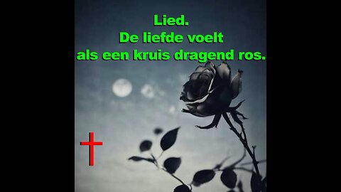 Lied - De liefde voelt als een kruis dragend ros - #lied #liefde #kruisdragend #ros