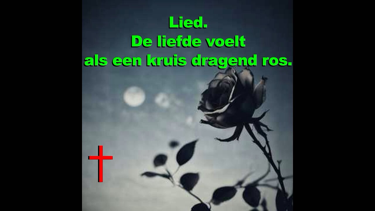 Lied - De liefde voelt als een kruis dragend ros - #lied #liefde #kruisdragend #ros
