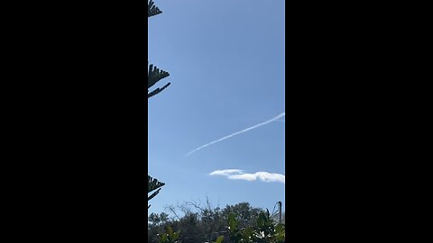 Florida’s Chemical Skyline