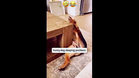 Dogs are sleeping in most weird ways 🤣😂