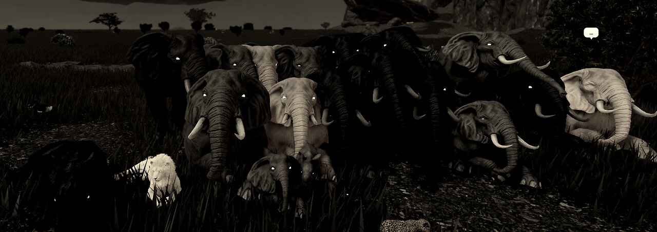 Savannah life with PRC