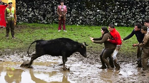 Tradicional Garraiada/Tenta Estudantes Carnaval 2025 - Ilha Terceira - Açores