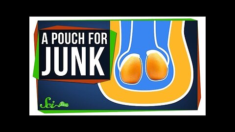 Why Yapoks Need a Pouch for Their Junk