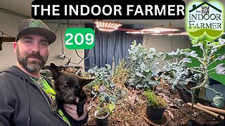 The Indoor Farmer ep 209, Germinating Dwarf Fruit Trees. Let's Grow Because EVERYBODY HAS TO EAT