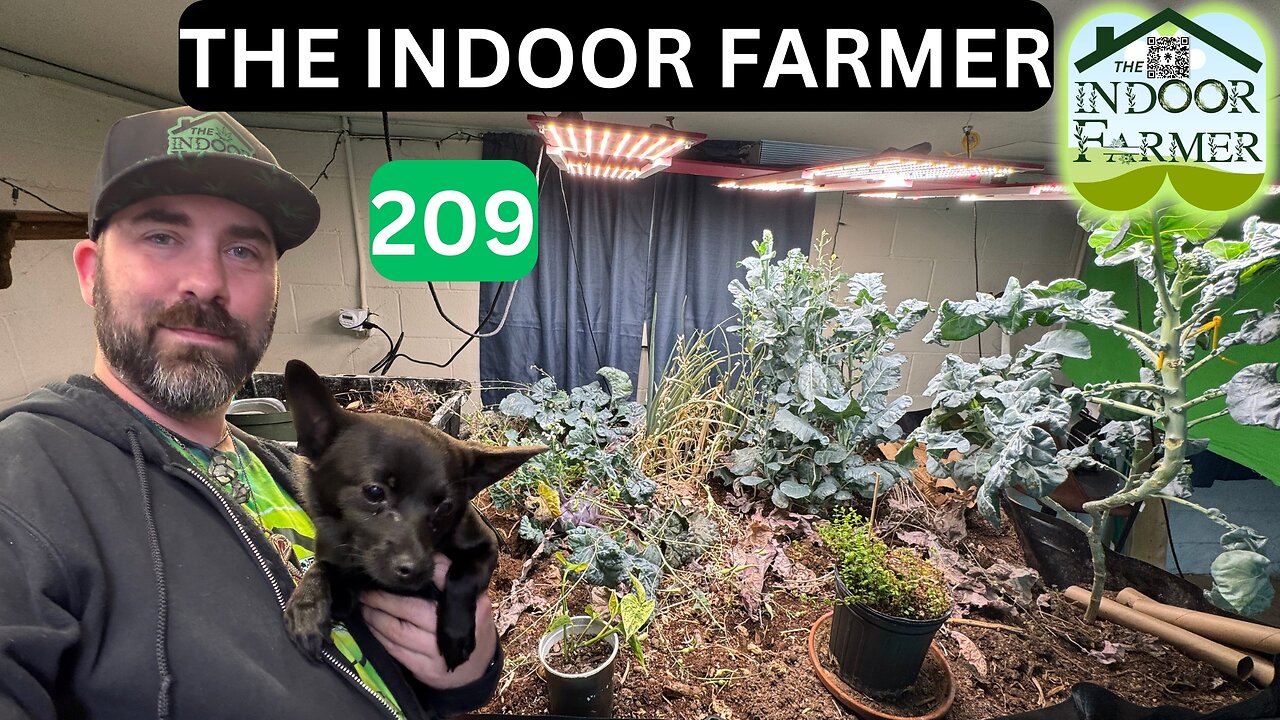 The Indoor Farmer ep 209, Germinating Dwarf Fruit Trees. Let's Grow Because EVERYBODY HAS TO EAT