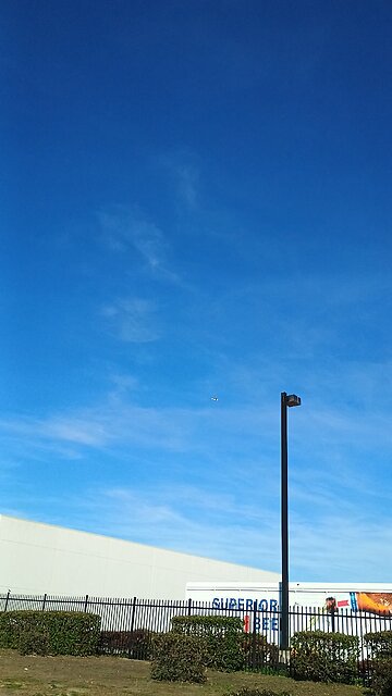 drac democrats buzzing human Americans