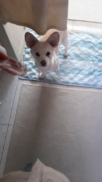 20251104. God Made the World. Amen.