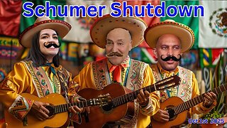The Schumer Shutdown
