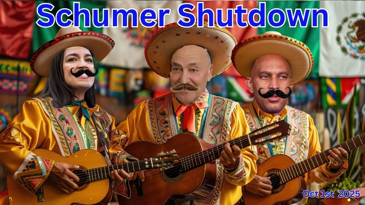 The Schumer Shutdown