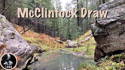 Hiking McClintock Draw, Mogollon Rim