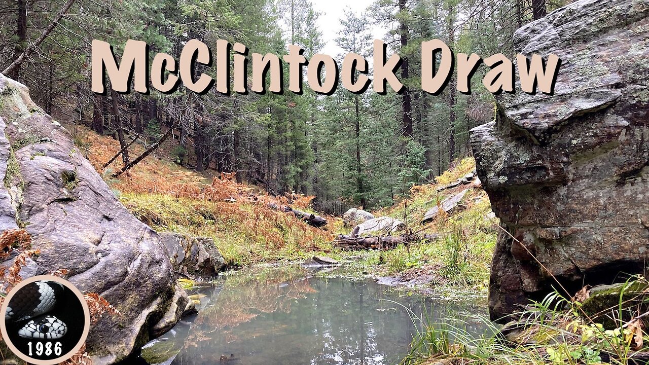 Hiking McClintock Draw, Mogollon Rim