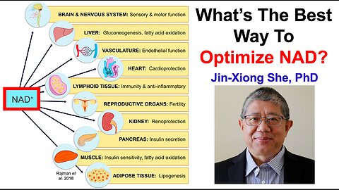 What’s The Best Way To Optimize NAD? Jin-Xiong She, PhD