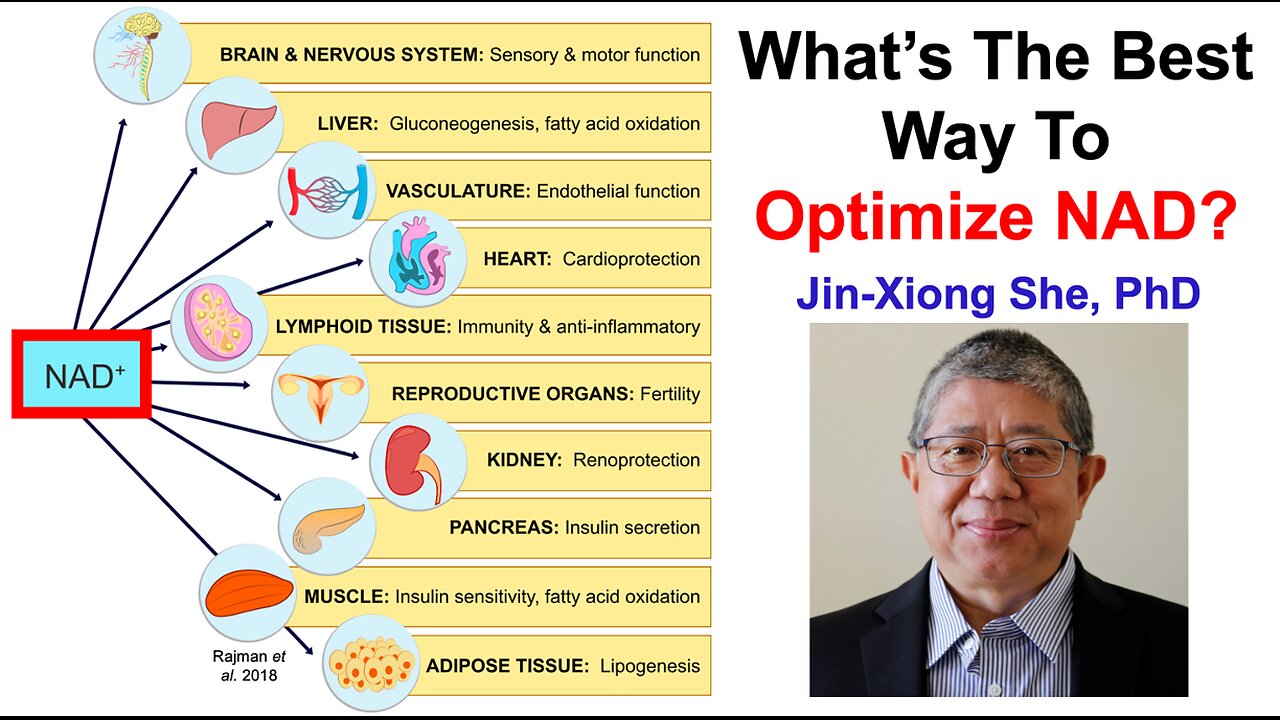 What’s The Best Way To Optimize NAD? Jin-Xiong She, PhD