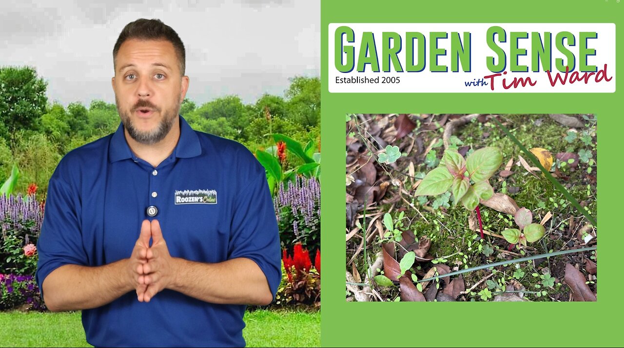 Garden Sense with Tim Ward - 10.01.25