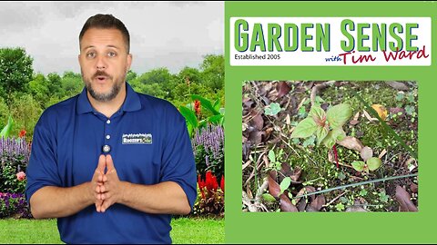 Garden Sense with Tim Ward - 10.01.25