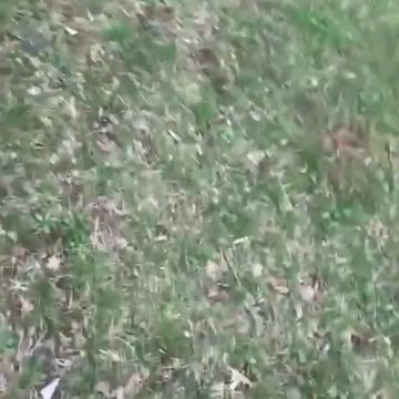 4v1 fight goes viral on TikTok: Man injured in brawl caught in cut-off video