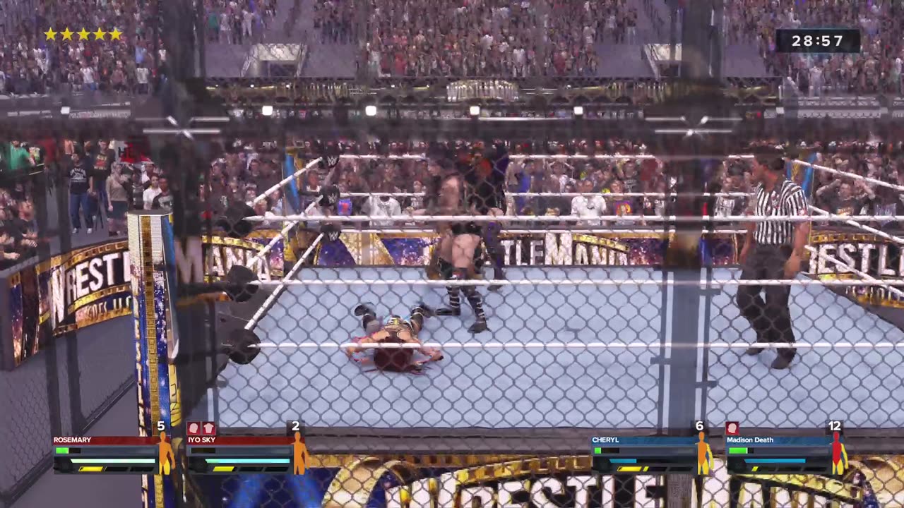 WWE Bitch Fight