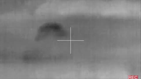 25 Creedmoor AI • 3000 FPS Bullet • Hog Hunt