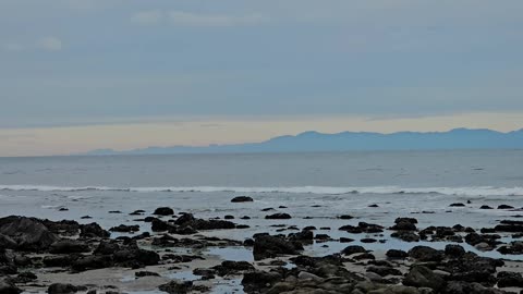 Creature Spotting Vol 5