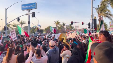 ANTI-ICE protesters 🤔 fly flags of the country they fled⁉️