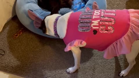 Stitch Bed 4 Princess