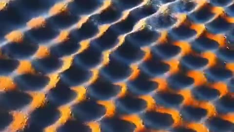 The Qiantang river's tidal bore