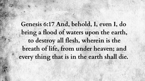 Martus Ministry -456- Rainbow city