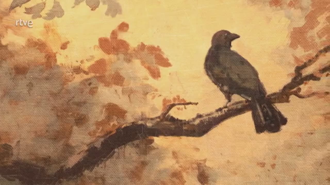 Valle salvaje capitulo 299 parte 1