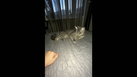 I can do that too.