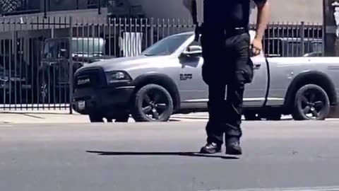 Ice agents just randomly drawing and pointing their weapons at peaceful civilians