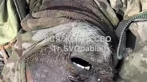 Ukraine war combat footage 10/11/25
