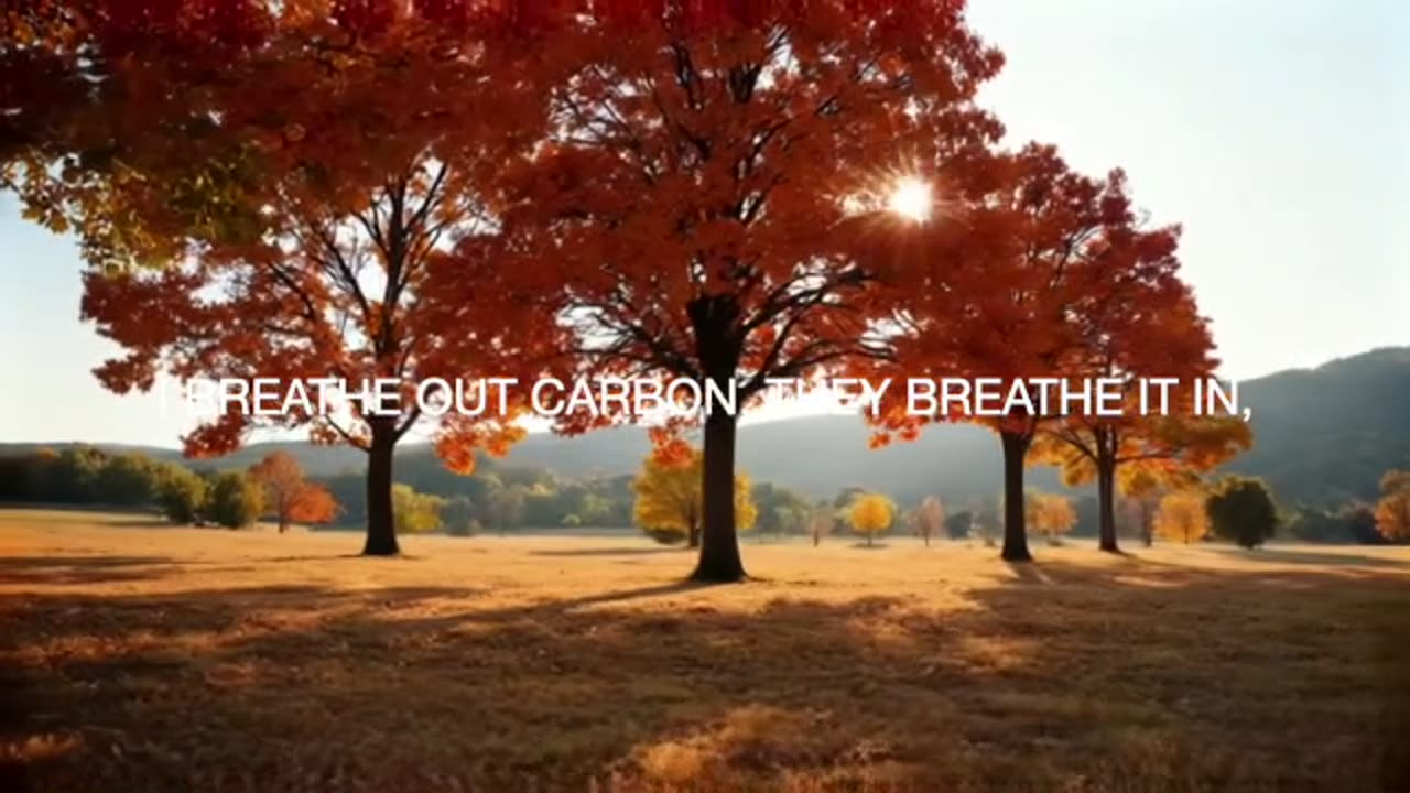 We Need The Trees Karaoke