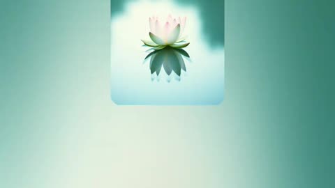 meditation 1