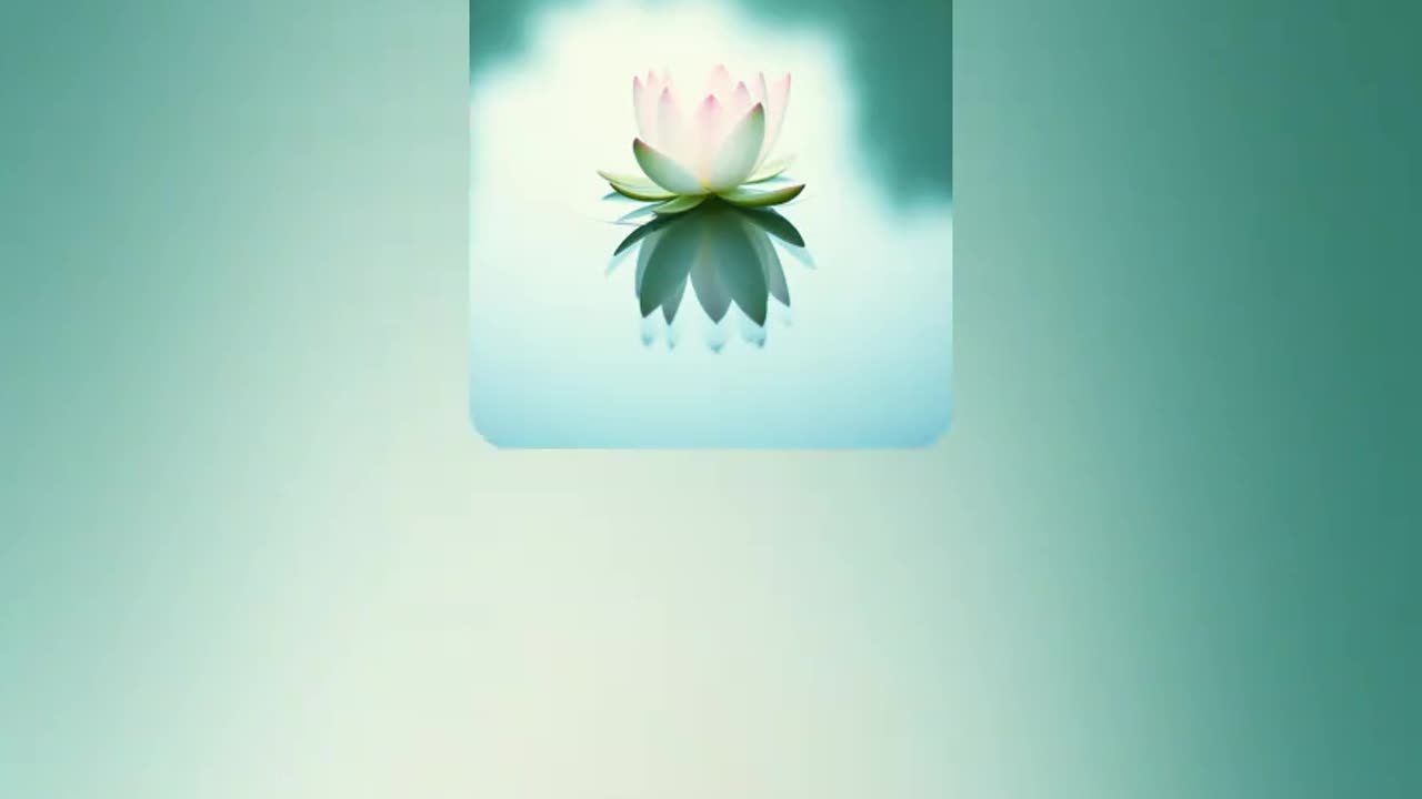 meditation 1