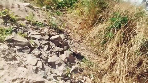 La gente está de licencia - COVISOLTAC - Sereneada - Tacuarembó (28/12/2024)