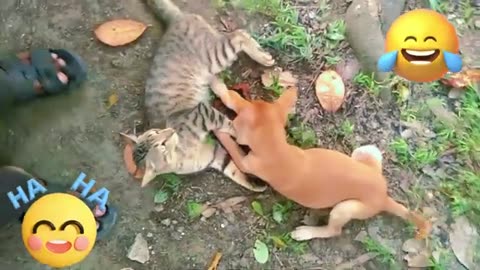 🐾 Chaos Unleashed: When Pets Forget the Rules! 🐶🐱😂