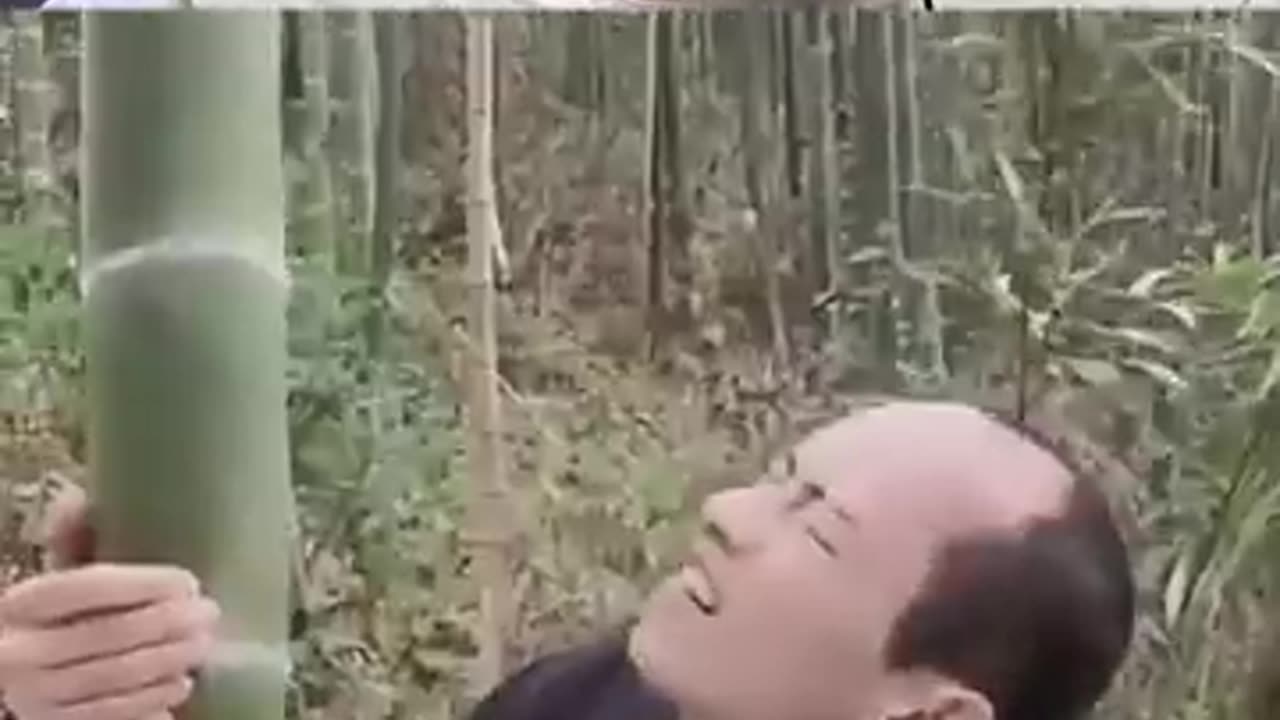try Not to Laugh 😆 | Hilarious Funny Moments & Fails!