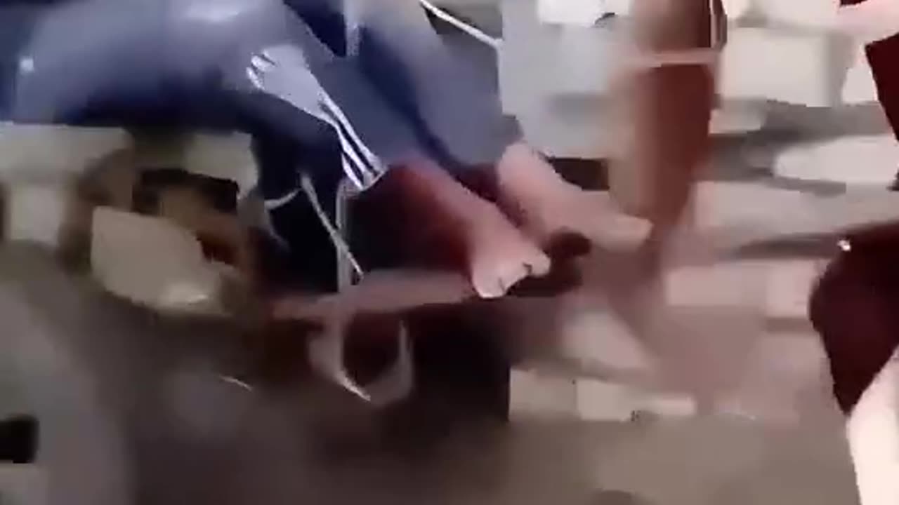 Funniest Video Compilation | Try Not to Laugh! 😂