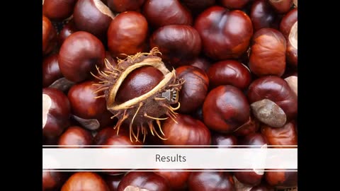 Alt-Tech S2 36 Chestnut Domestication