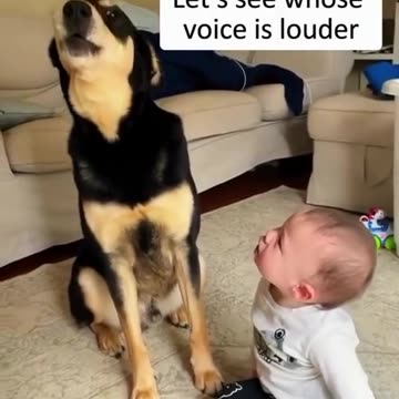 why dad? why mom? If we were so happy!🤣🐶