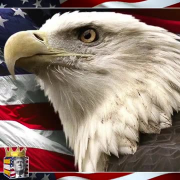 Marjorie Taylor Greene exposed Dr Fauci to his face for millions to see