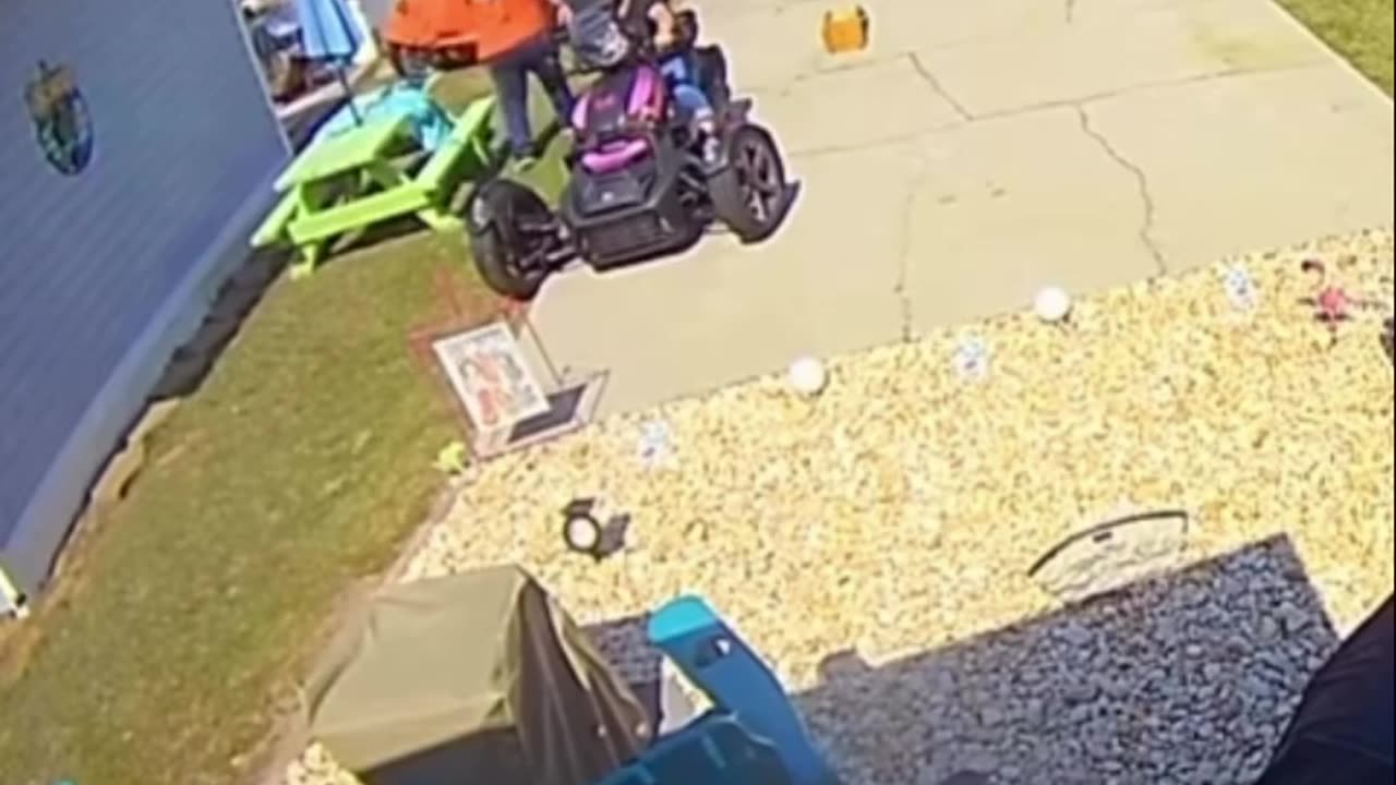 Stupid is as stupid does.