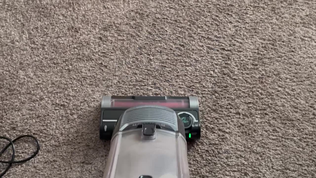 My Cat When I Vacuum