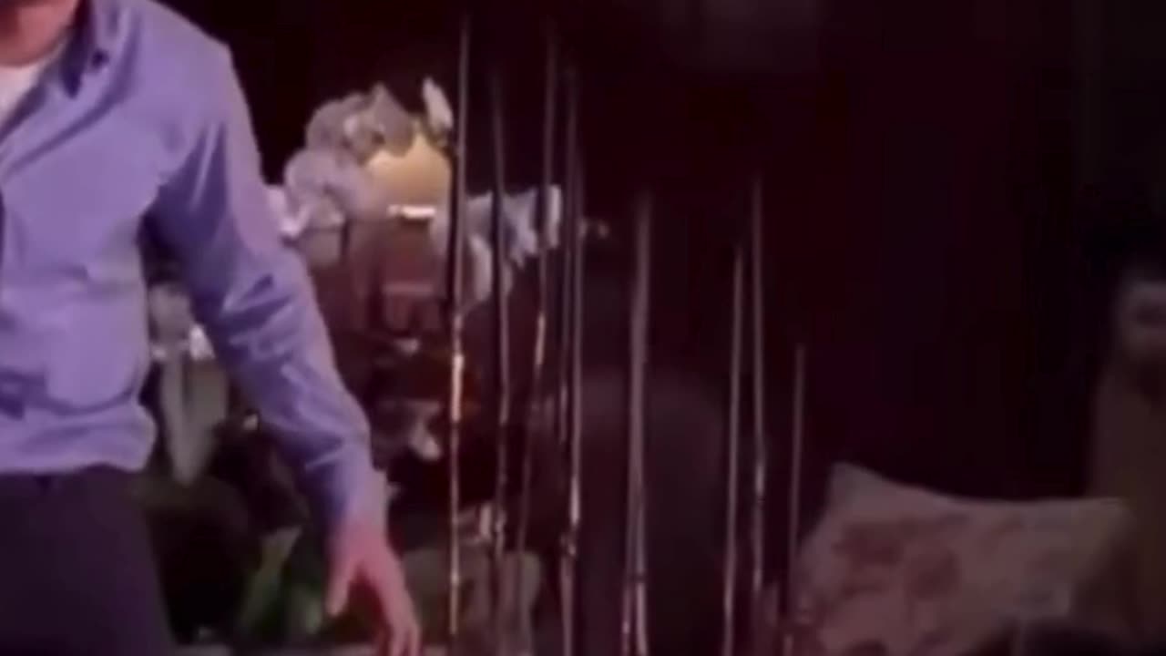 Engineer after finding out the “simple project” actually had 200 hidden requirements