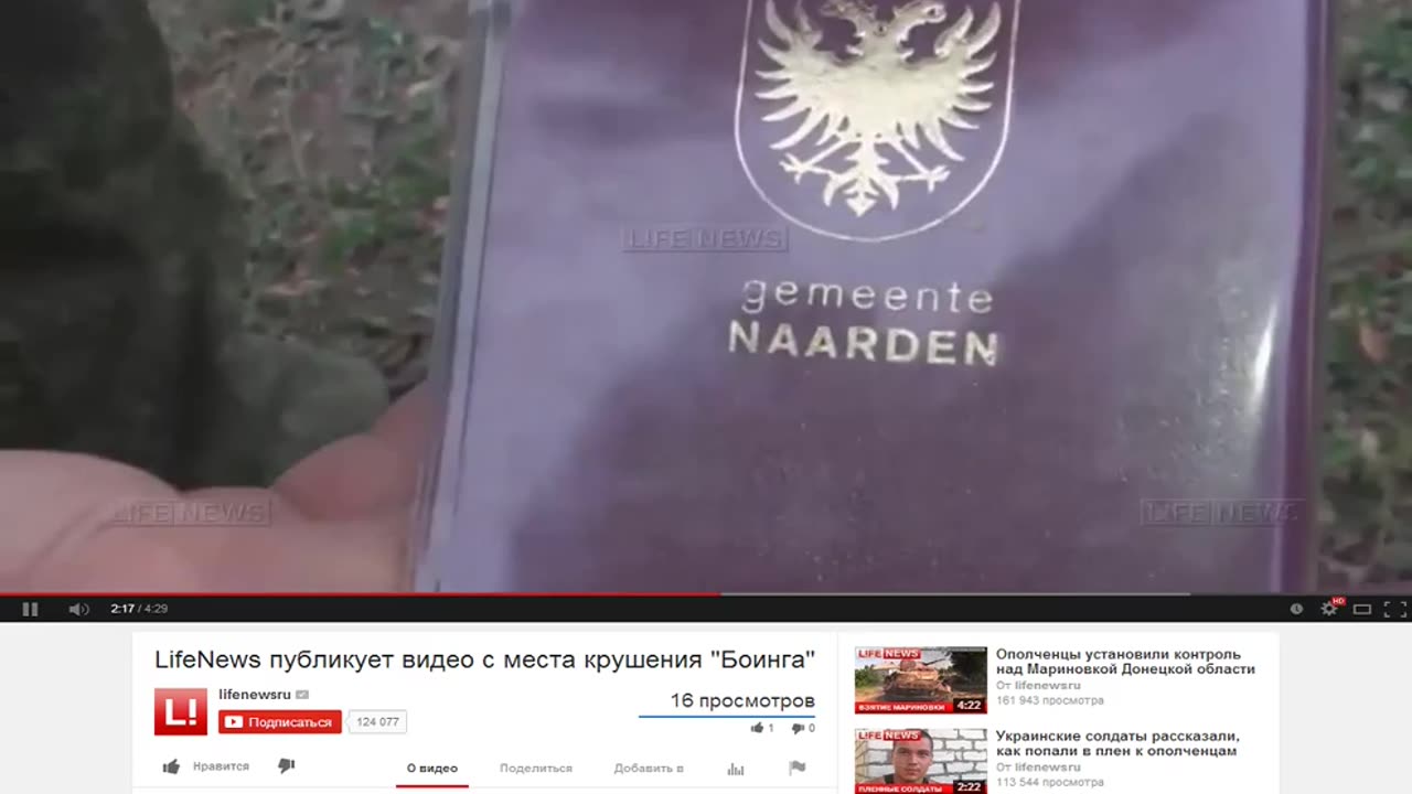 УДАЛЕННОЕ ВИДЕО ОТ LifeNews с места крушения малайзийского Боинга