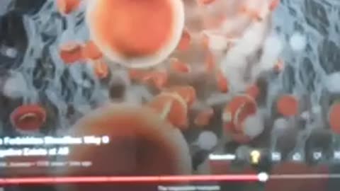 the truth about Rh negative blood type o