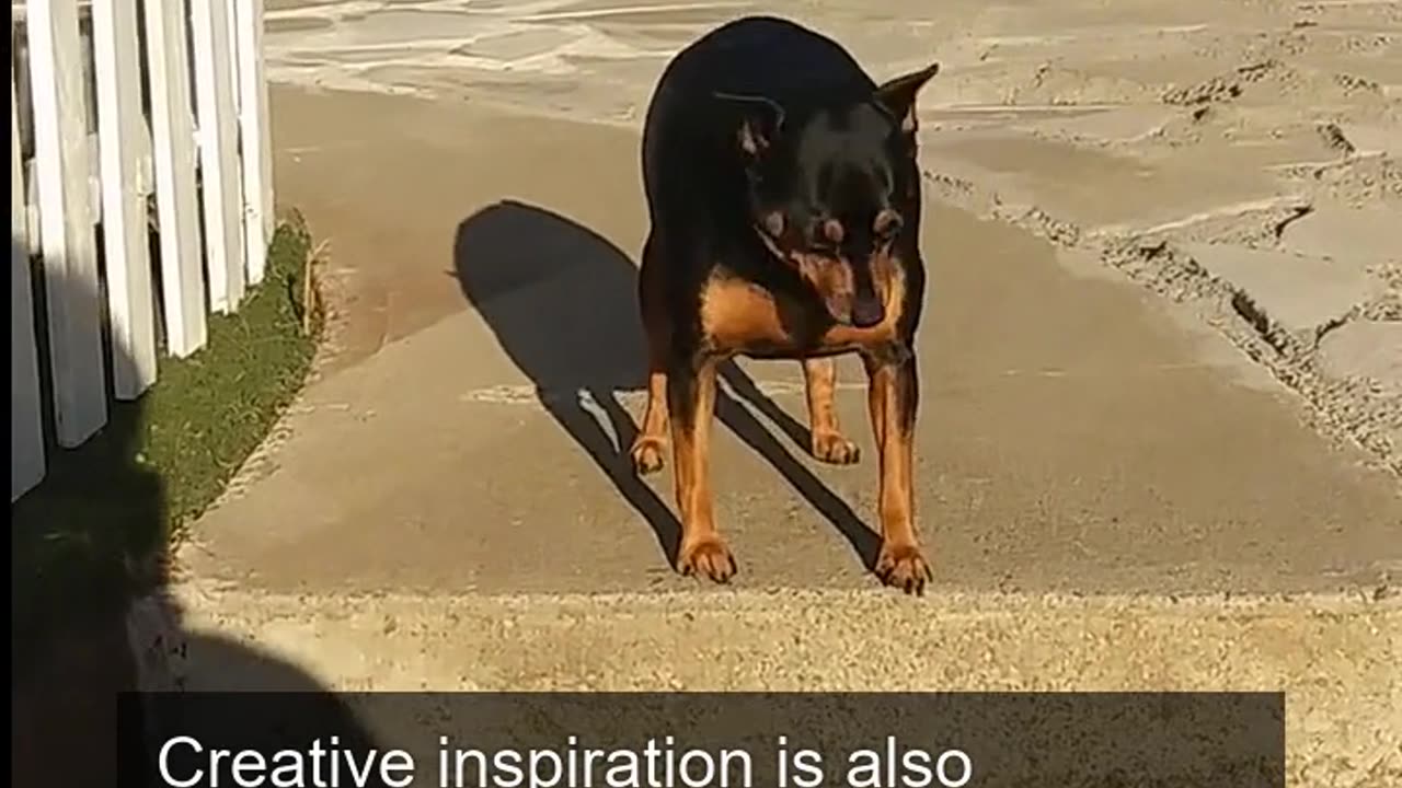 Daily Horoscope | Pisces 🌟